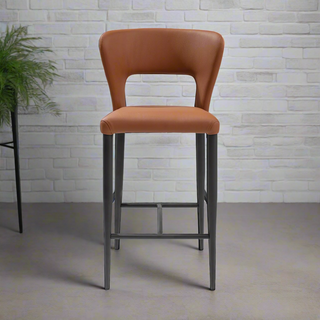 Pari Bar Stool - 2 Colours