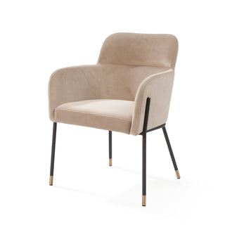 Fox Dining Chair -2 Colours