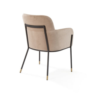 Fox Dining Chair -2 Colours